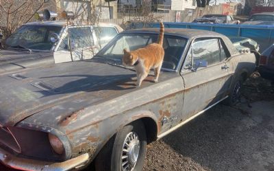 Photo of a 1968 Ford Mustang 2 Dr for sale