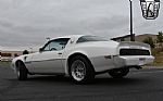 1979 Firebird Thumbnail 4