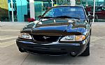 1995 Ford Mustang SVT Cobra