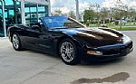 1998 Corvette Thumbnail 4