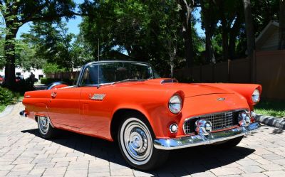 1956 Ford Thunderbird 