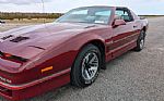 1985 Trans Am Thumbnail 20