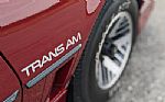 1985 Trans Am Thumbnail 29