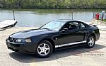 2002 Mustang Thumbnail 1