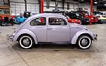 1960 Beetle Thumbnail 9