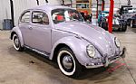 1960 Beetle Thumbnail 11