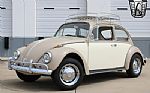 1967 Beetle Thumbnail 2