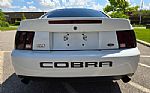 2003 Mustang SVT Cobra Thumbnail 15