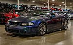 2004 Mustang Cobra SVT Thumbnail 53