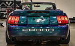 2004 Mustang Cobra SVT Thumbnail 66