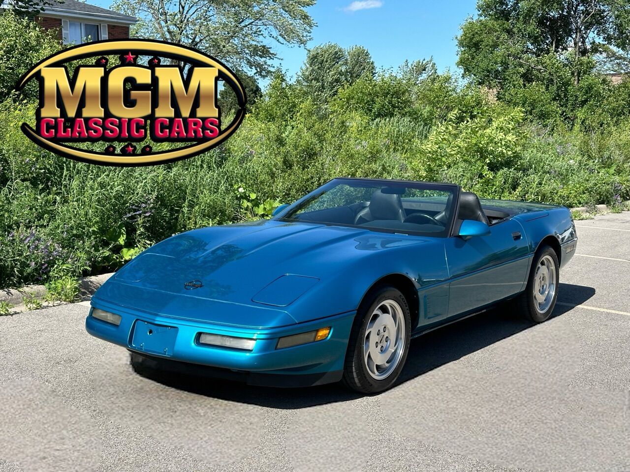 1996 Corvette Image