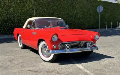 Photo of a 1955 Ford Thunderbird for sale