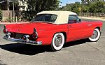 1955 Thunderbird Thumbnail 5