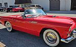 1955 Thunderbird Thumbnail 14