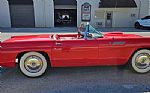 1955 Thunderbird Thumbnail 15