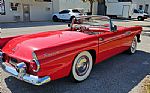 1955 Thunderbird Thumbnail 16