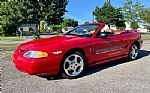 1994 Ford Mustang SVT Cobra