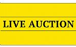 Live Auction 06-22-2024 At 12:00 PM 