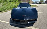 1981 Corvette Thumbnail 13