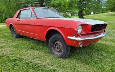 Photo of a 1966 Ford Mustang Coupe for sale