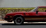 1981 Camaro Z28 Thumbnail 19