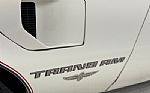 1980 Firebird Turbo Trans Am Pace C Thumbnail 13