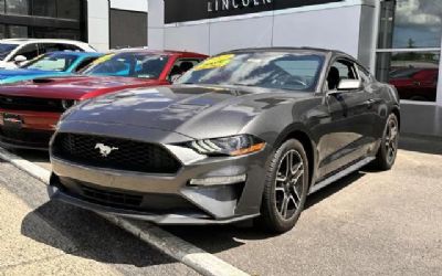 Photo of a 2019 Ford Mustang Coupe for sale