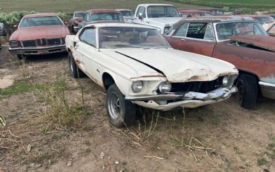 Photo of a 1969 Ford Mustang Fastback Body for sale