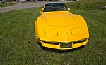 1981 Corvette Thumbnail 10