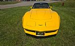 1981 Corvette Thumbnail 11