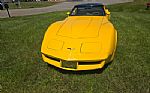 1981 Corvette Thumbnail 12