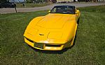 1981 Corvette Thumbnail 13