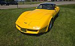 1981 Corvette Thumbnail 14