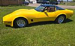 1981 Corvette Thumbnail 20