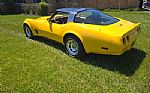 1981 Corvette Thumbnail 29