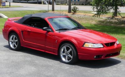 Photo of a 1999 Ford Mustang SVT Cobra Convertible for sale