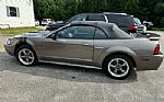 2001 Ford Mustang