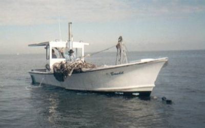 Photo of a 1973 Stableton Commercial Shrimp Boat for sale