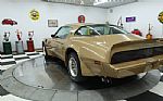 1979 Trans Am Thumbnail 6