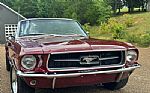 1967 Mustang Thumbnail 10