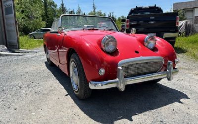 Photo of a 1962 Austin Healey Sprite Bugeye for sale