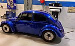 1964 Beetle Bug Thumbnail 3