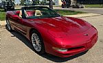 1999 Corvette Thumbnail 2