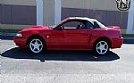 1999 Mustang Thumbnail 4