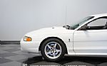 1997 Mustang SVT Cobra Thumbnail 24