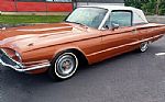 1966 Thunderbird Thumbnail 10