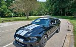 2010 Mustang Shelby Thumbnail 2