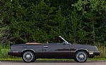 1982 LeBaron Thumbnail 36