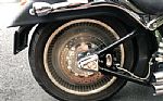 2003 Softail Deuce Thumbnail 6