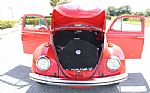 1971 Beetle Thumbnail 10